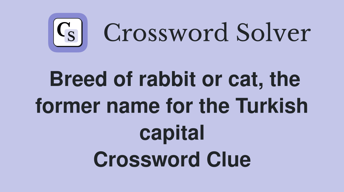 Breed of rabbit or cat, the former name for the Turkish capital Crossword Clue