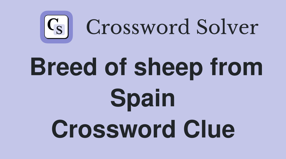 Breed of sheep from Spain Crossword Clue