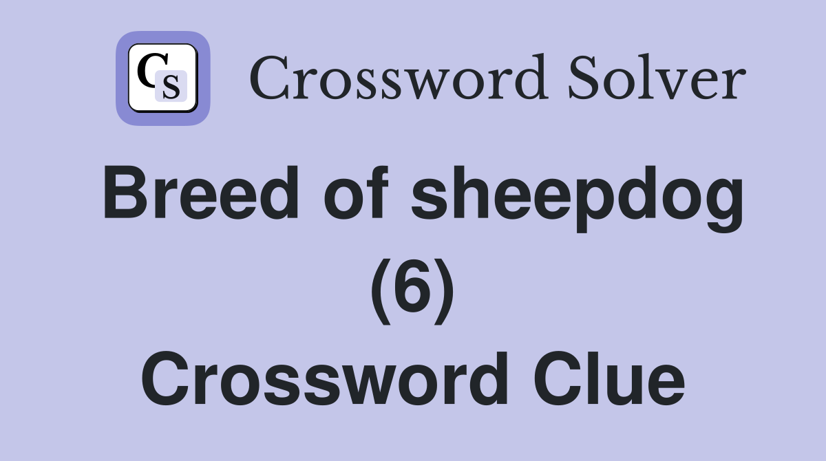 Breed of sheepdog (6) Crossword Clue