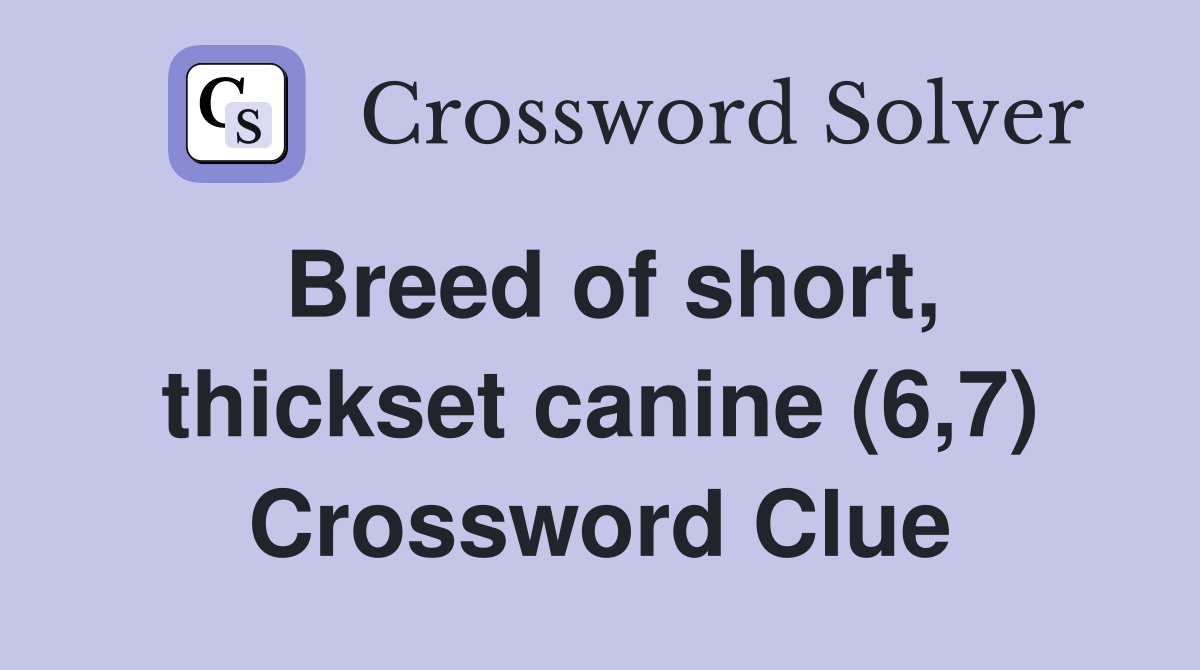 Breed of short, thickset canine (6,7) Crossword Clue