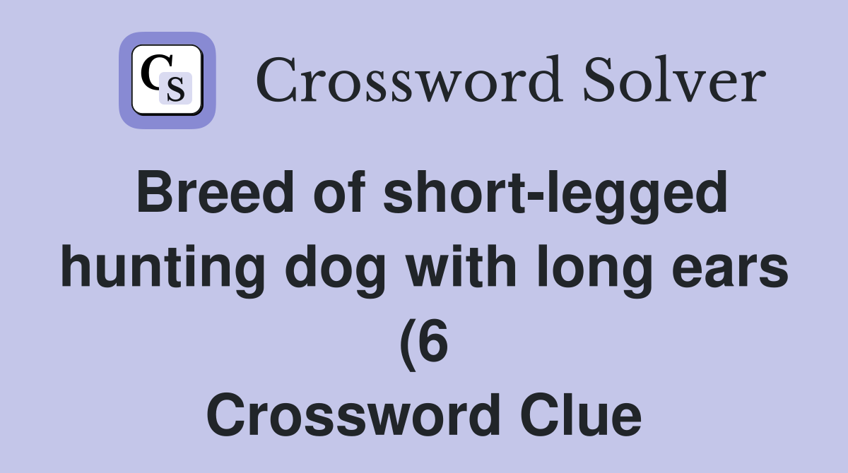 Breed of short legged hunting dog with long ears (6) Crossword Clue Breed of short legged hunting dog with long ears (6) Crossword Clue