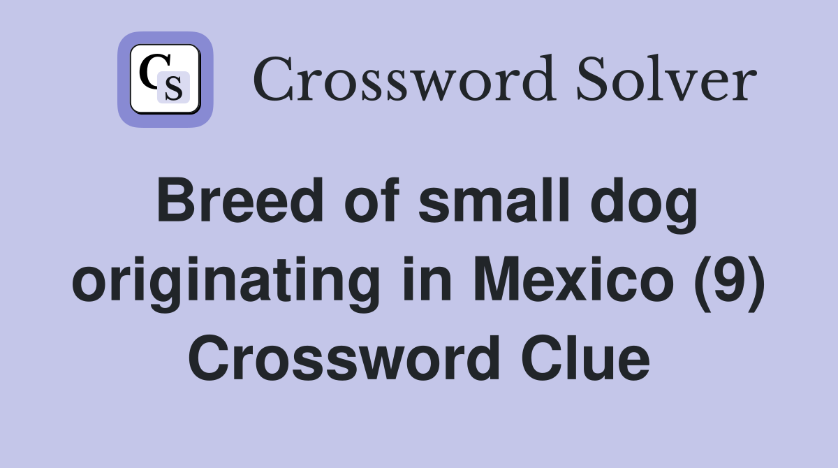 Breed of small dog originating in Mexico (9) Crossword Clue