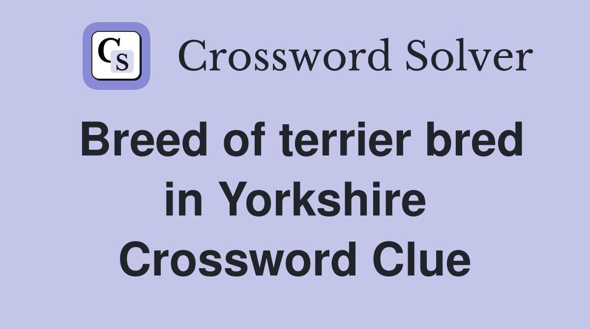 Breed of terrier bred in Yorkshire Crossword Clue