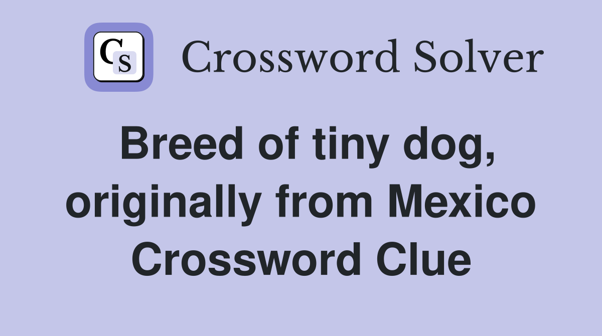 Breed of tiny dog, originally from Mexico Crossword Clue