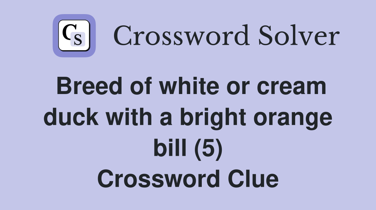 Breed of white or cream duck with a bright orange bill (5) Crossword Clue