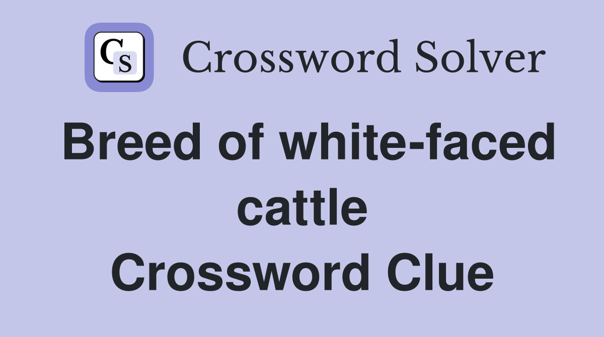 Breed of white-faced cattle Crossword Clue