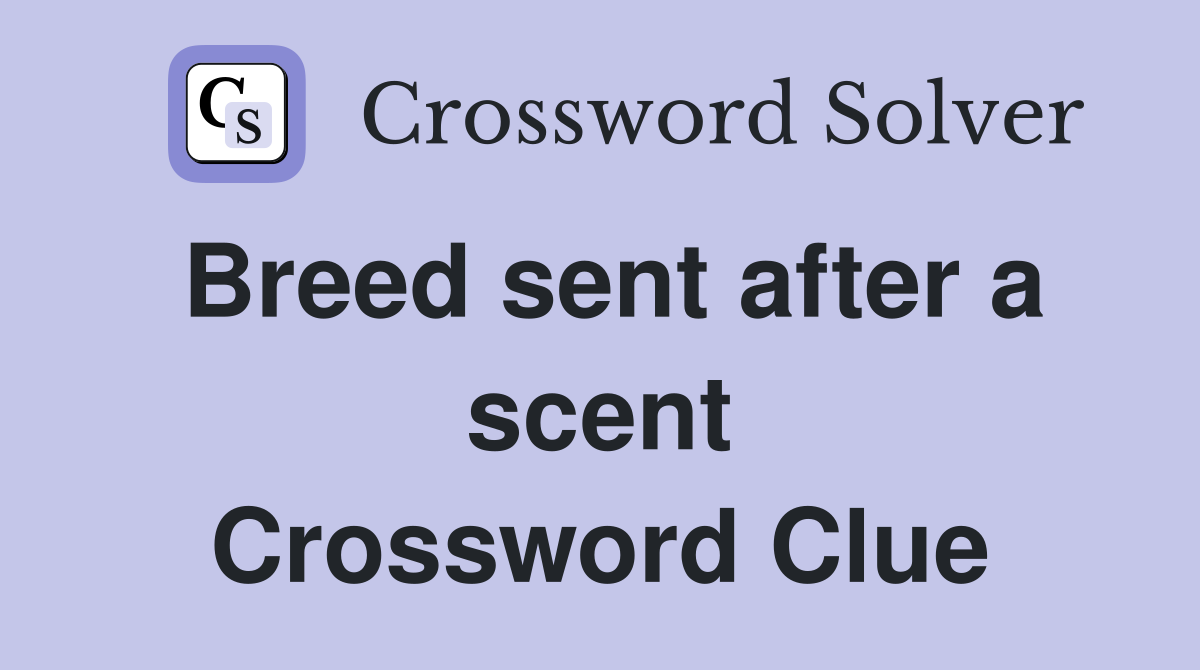 Breed sent after a scent Crossword Clue