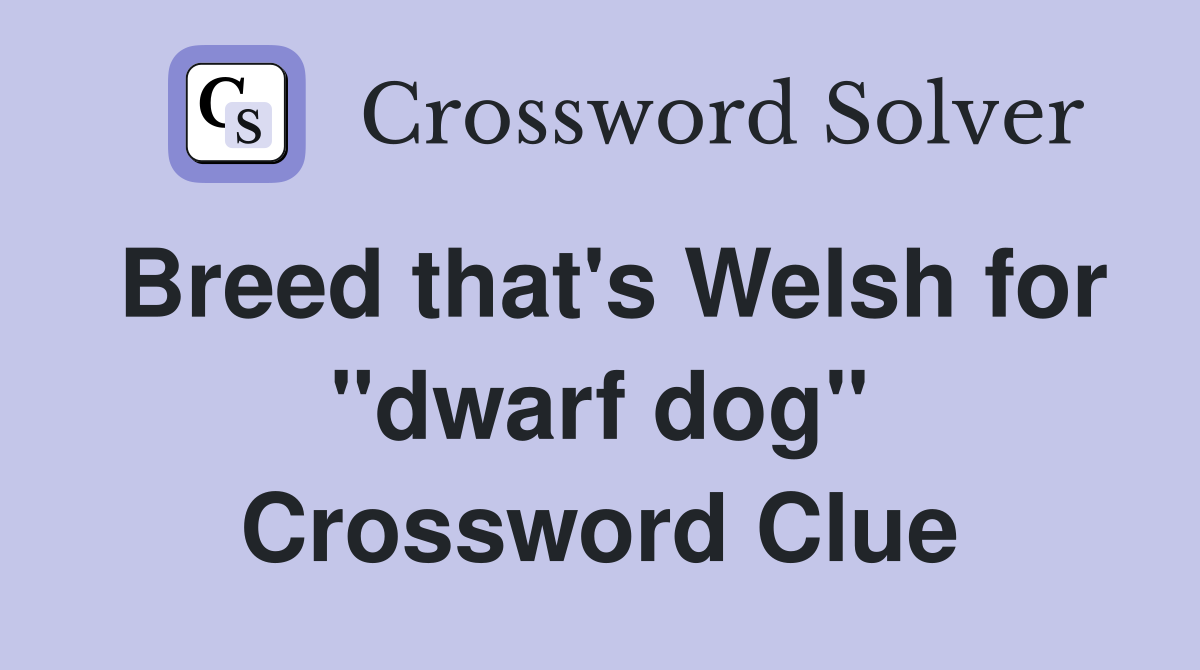 Breed that's Welsh for "dwarf dog" Crossword Clue