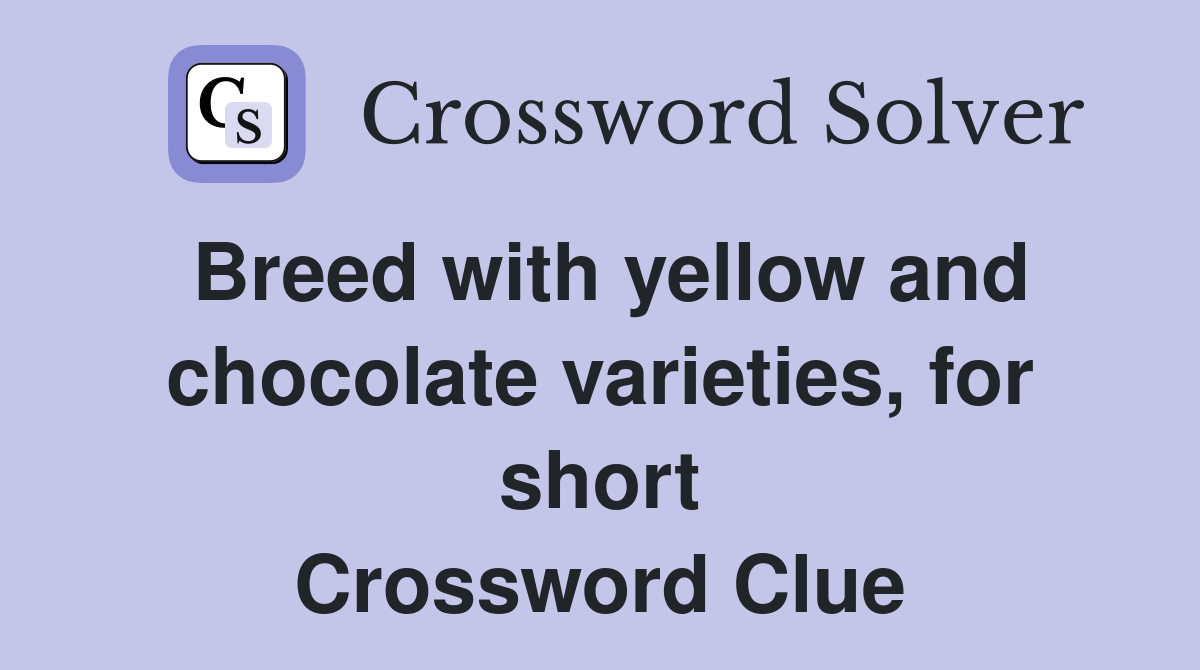 Breed with yellow and chocolate varieties, for short Crossword Clue