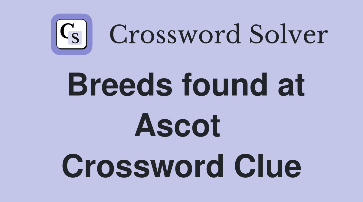 Breeds found at Ascot  Crossword Clue