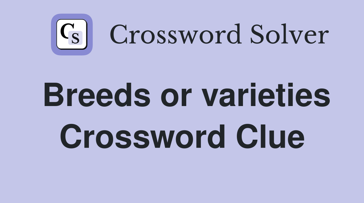 Breeds or varieties Crossword Clue