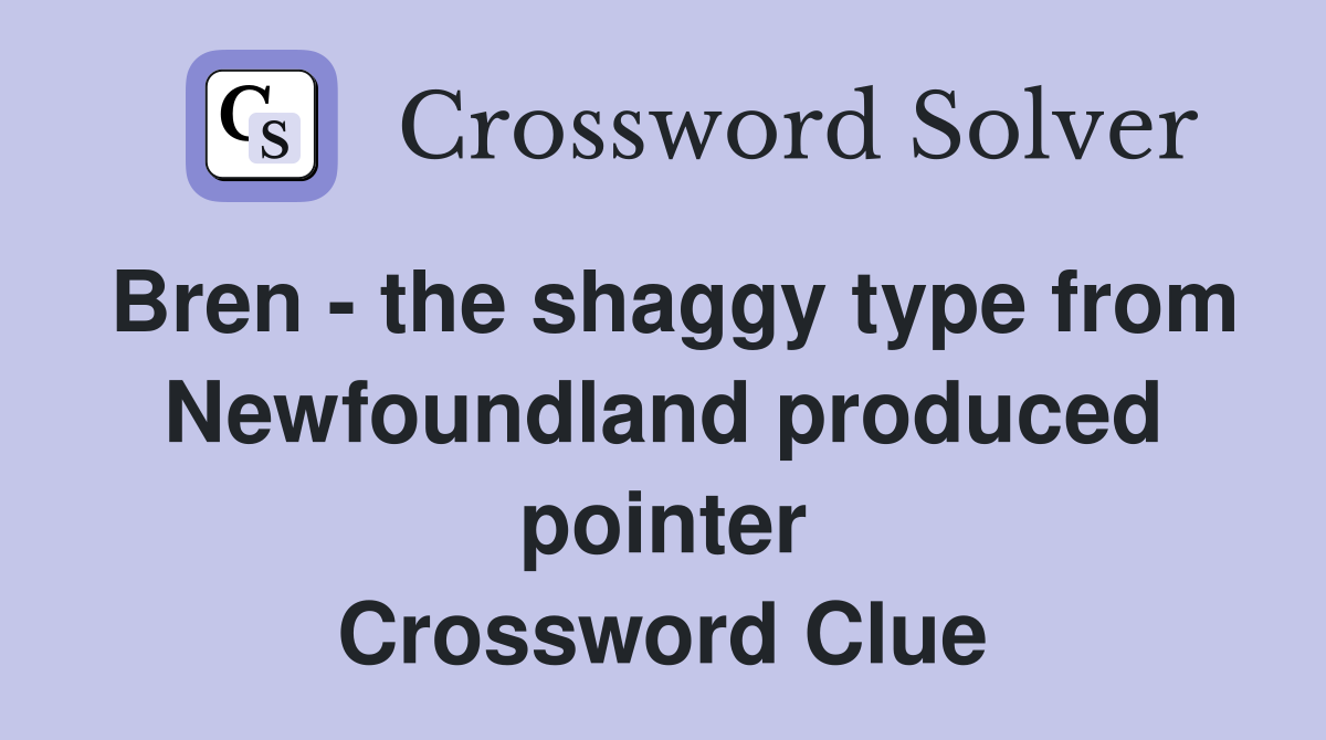 Bren - the shaggy type from Newfoundland produced pointer Crossword Clue