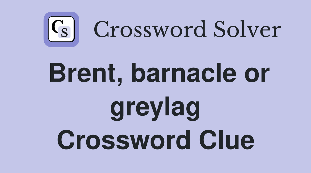 Brent, barnacle or greylag Crossword Clue