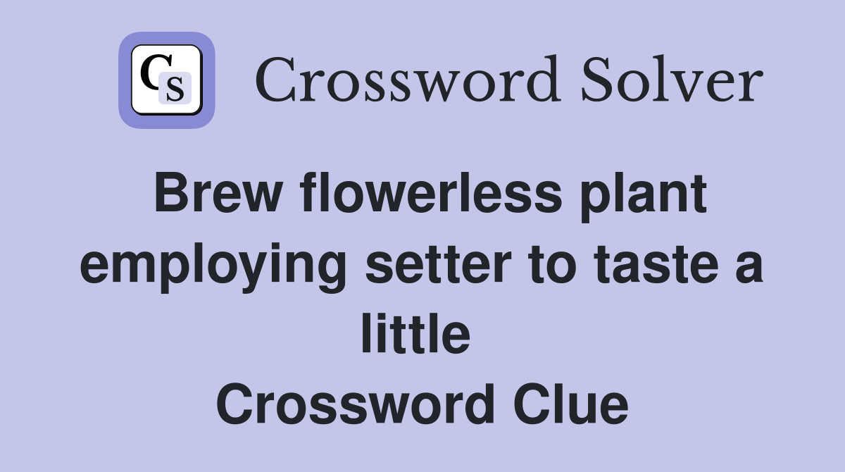 Brew flowerless plant employing setter to taste a little  Crossword Clue
