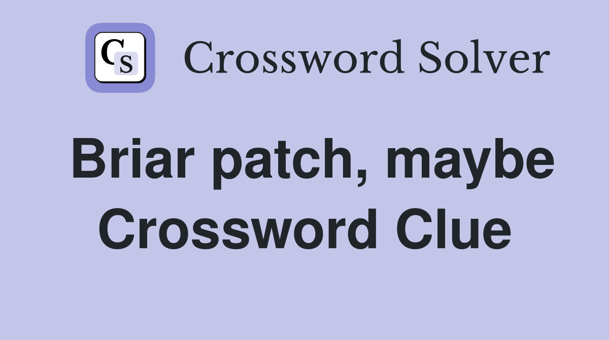 Briar patch, maybe Crossword Clue