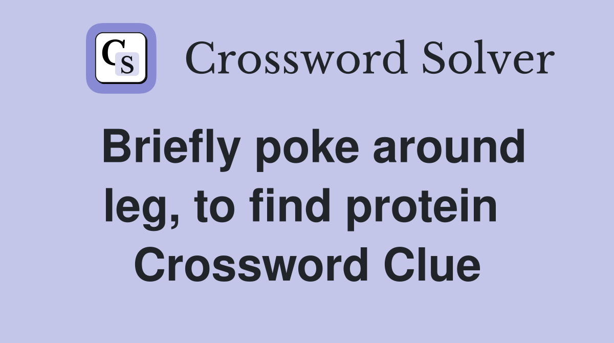 Briefly poke around leg, to find protein  Crossword Clue
