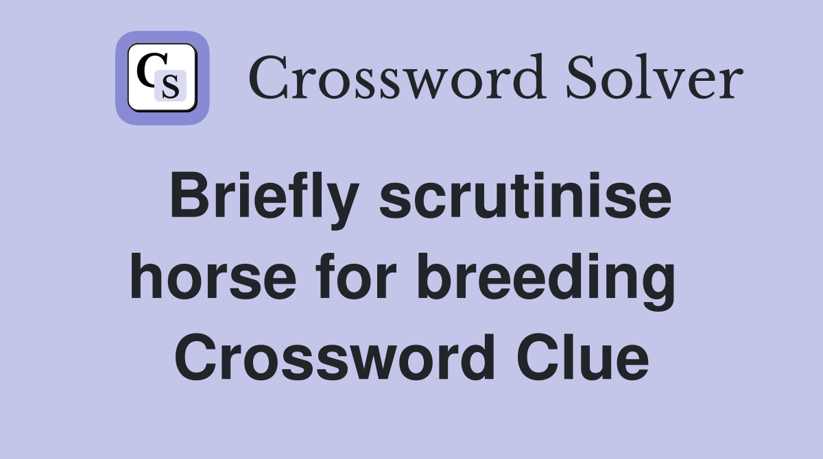 Briefly scrutinise horse for breeding  Crossword Clue
