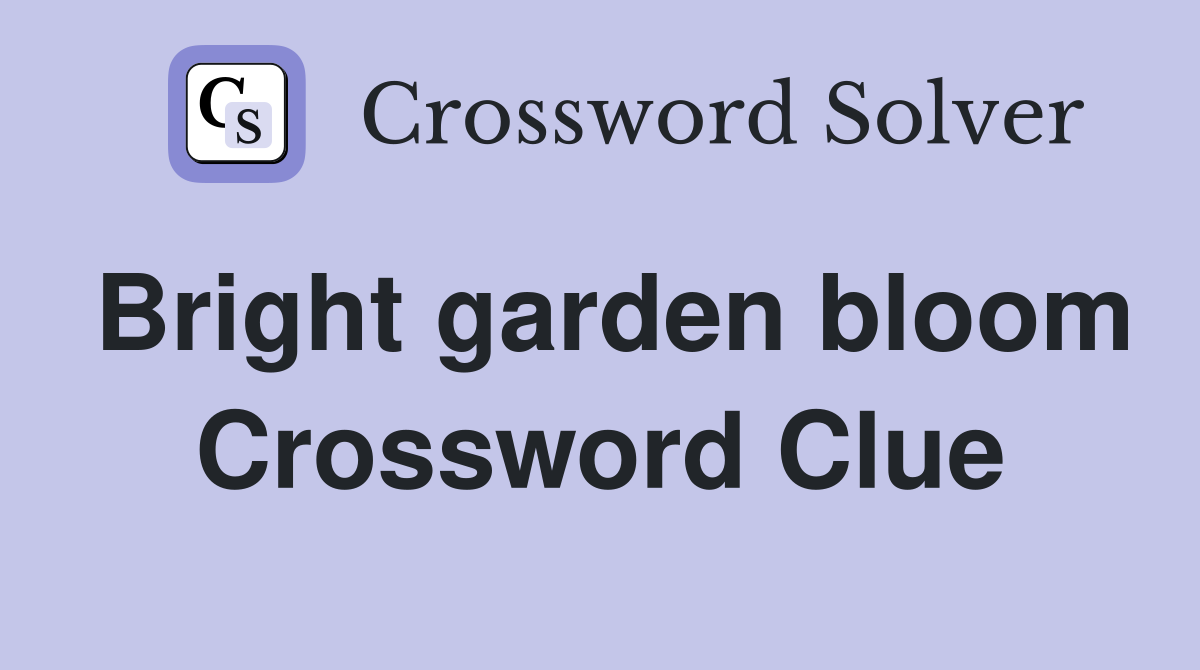 Bright garden bloom Crossword Clue