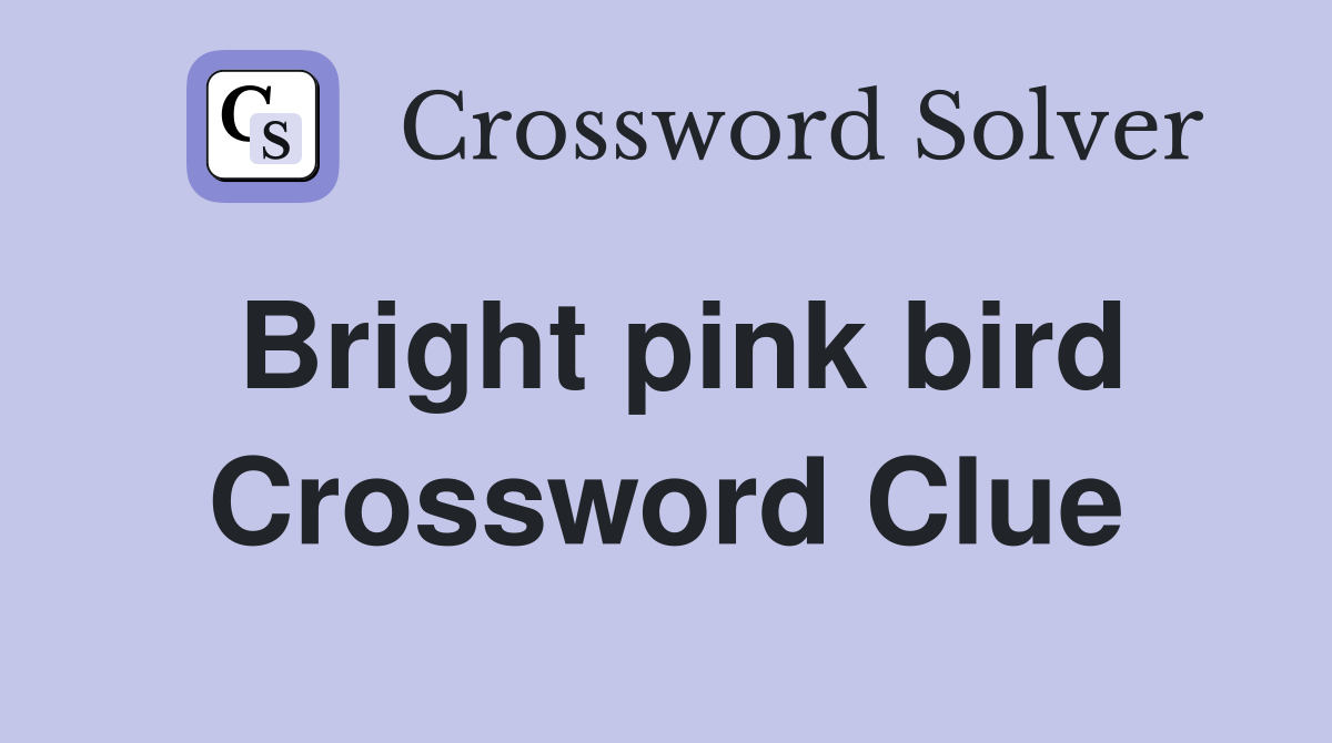 Bright pink bird Crossword Clue