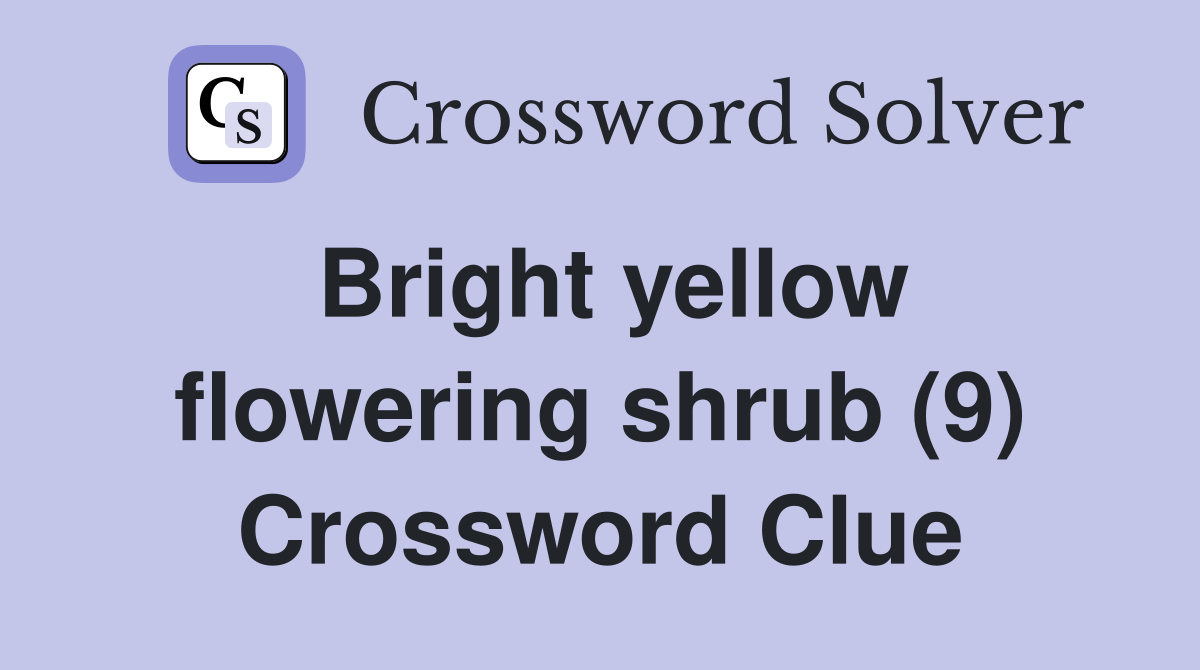 Bright yellow flowering shrub (9) Crossword Clue