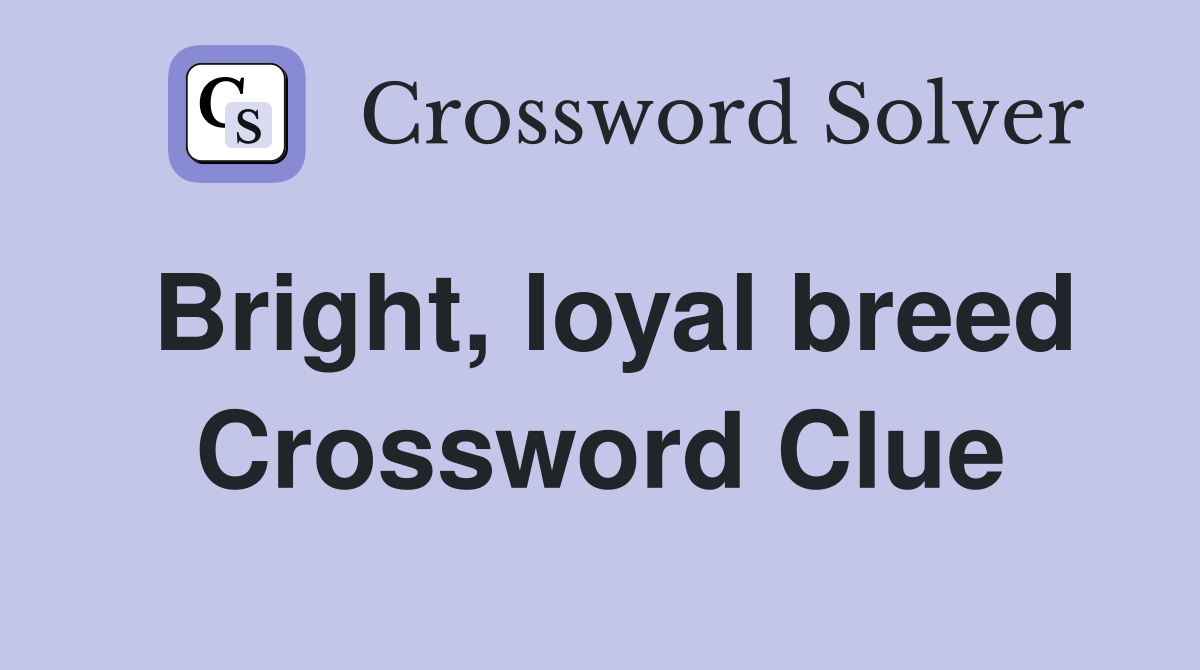 Bright, loyal breed Crossword Clue