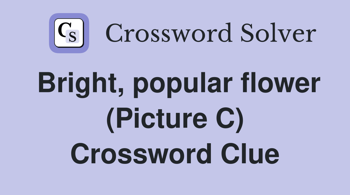 Bright, popular flower (Picture C) Crossword Clue