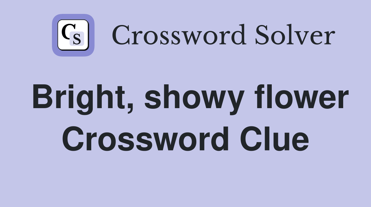 Bright, showy flower Crossword Clue