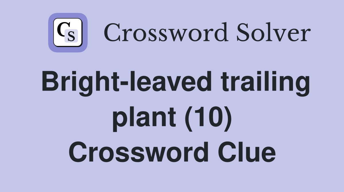 Bright-leaved trailing plant (10) Crossword Clue