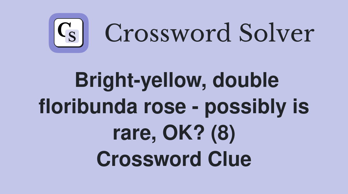 Bright-yellow, double floribunda rose - possibly is rare, OK? (8) Crossword Clue
