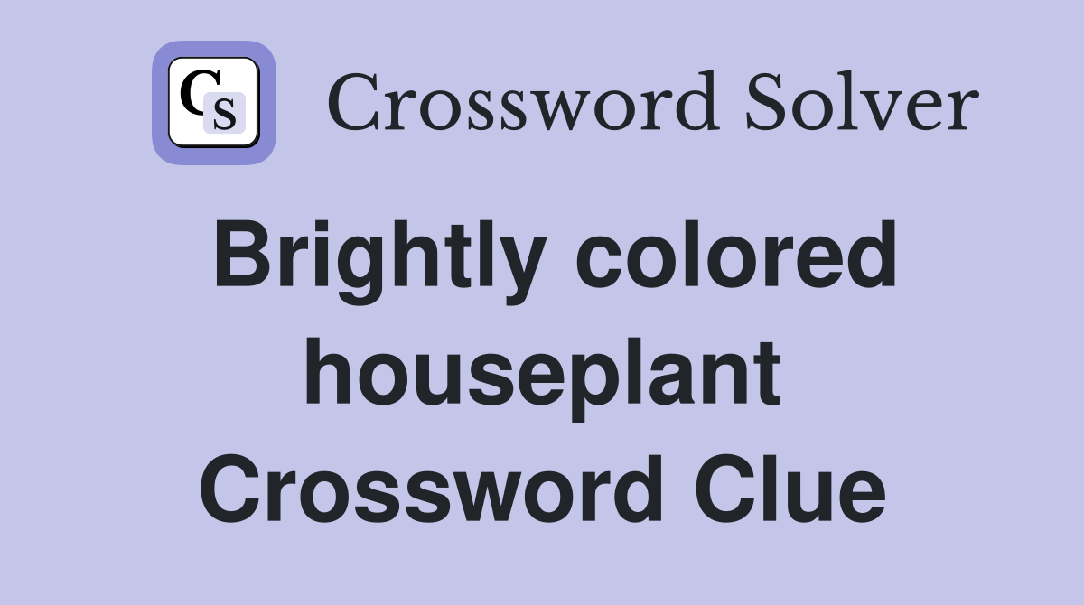 Brightly colored houseplant Crossword Clue