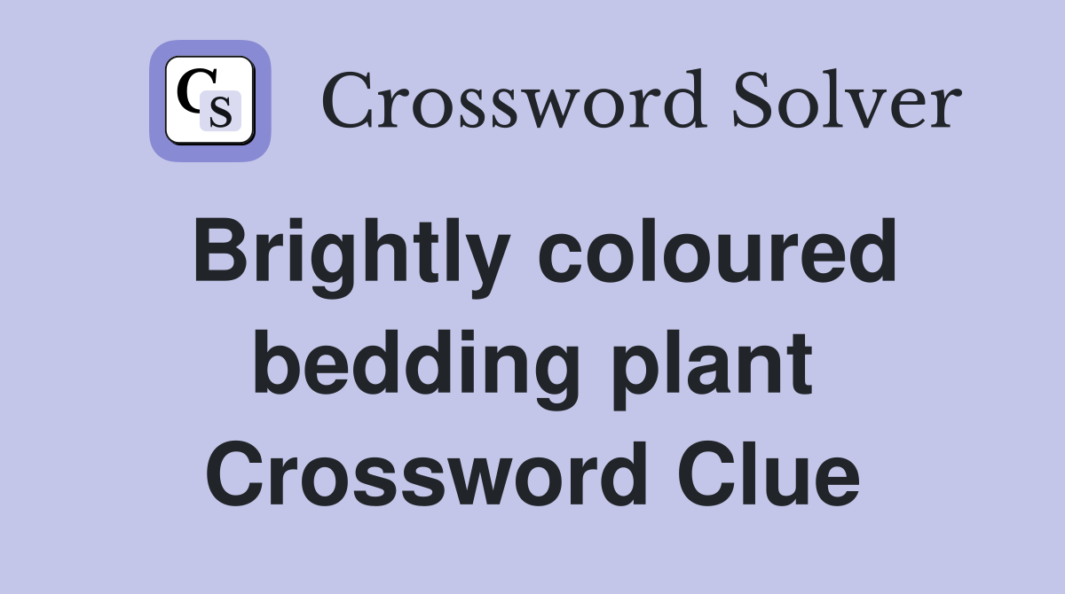 Brightly coloured bedding plant Crossword Clue