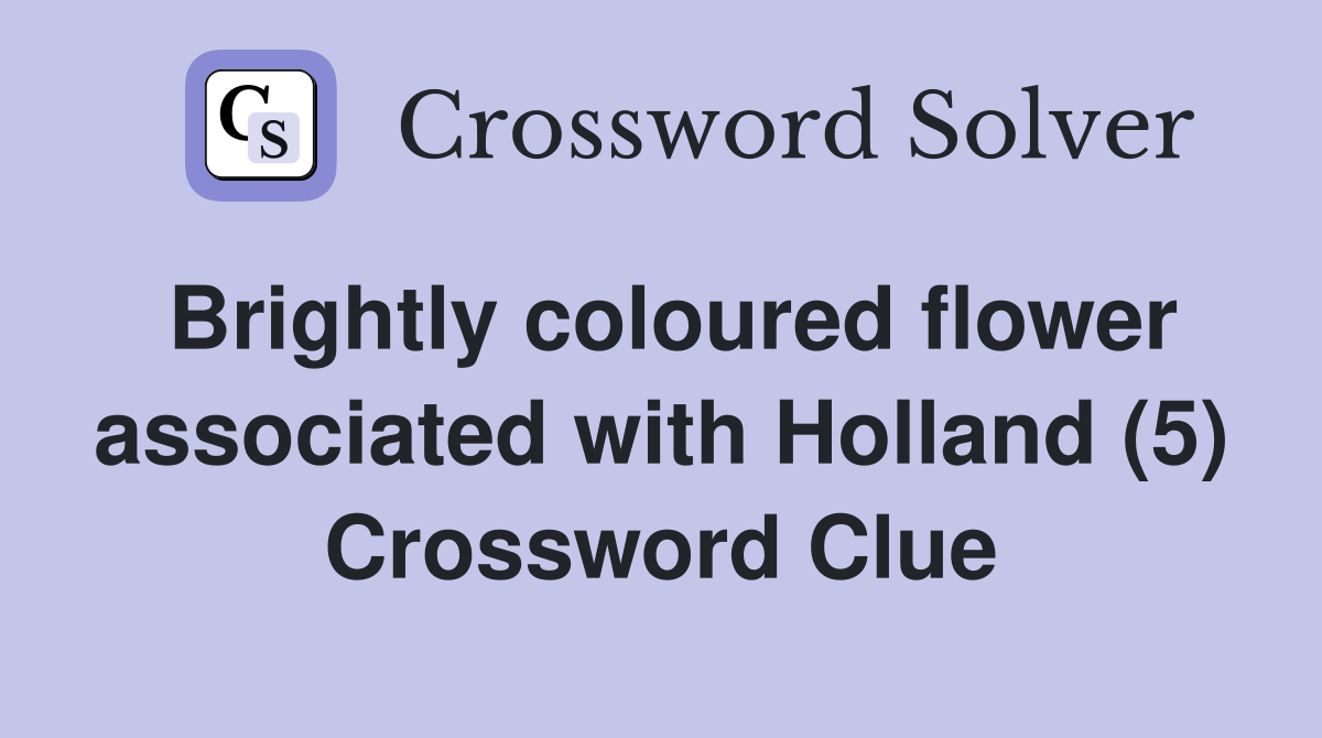 Brightly coloured flower associated with Holland (5) Crossword Clue