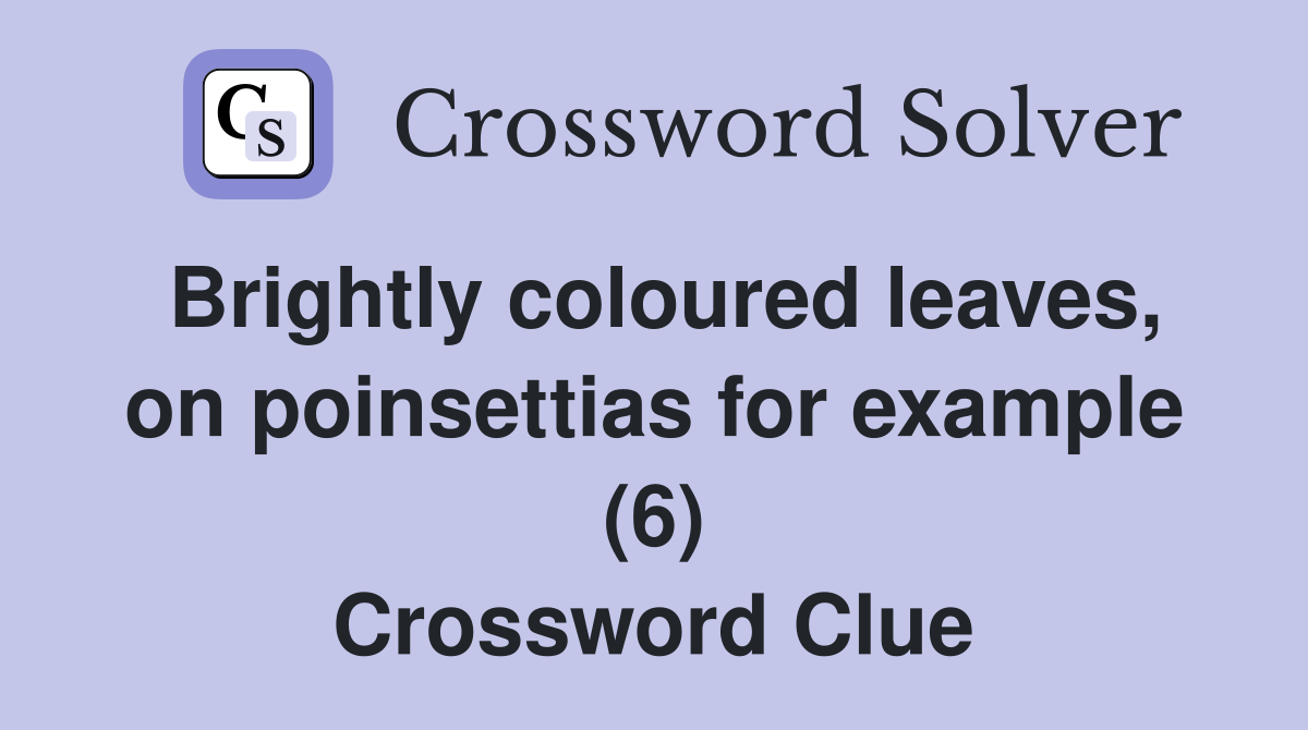 Brightly coloured leaves, on poinsettias for example (6) Crossword Clue