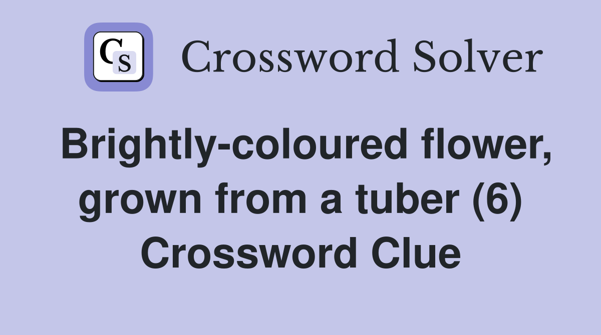 Brightly-coloured flower, grown from a tuber (6) Crossword Clue
