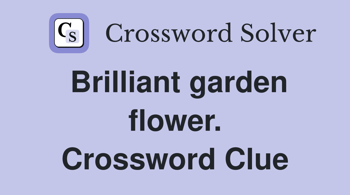 Brilliant garden flower. Crossword Clue