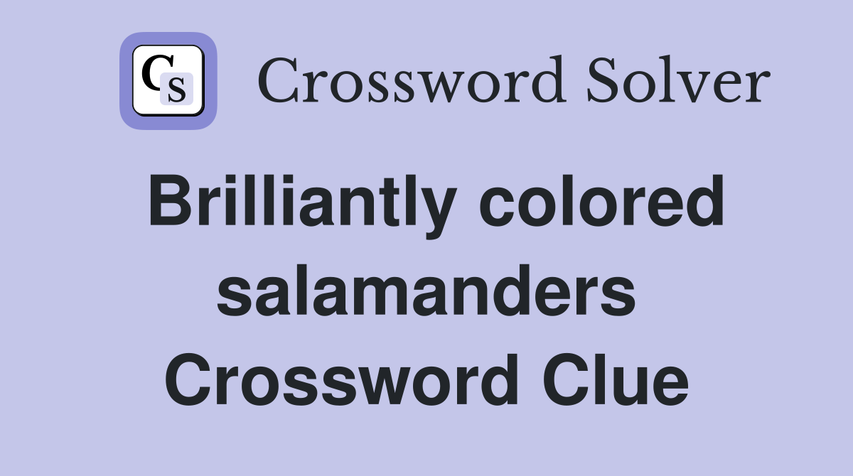 Brilliantly colored salamanders Crossword Clue