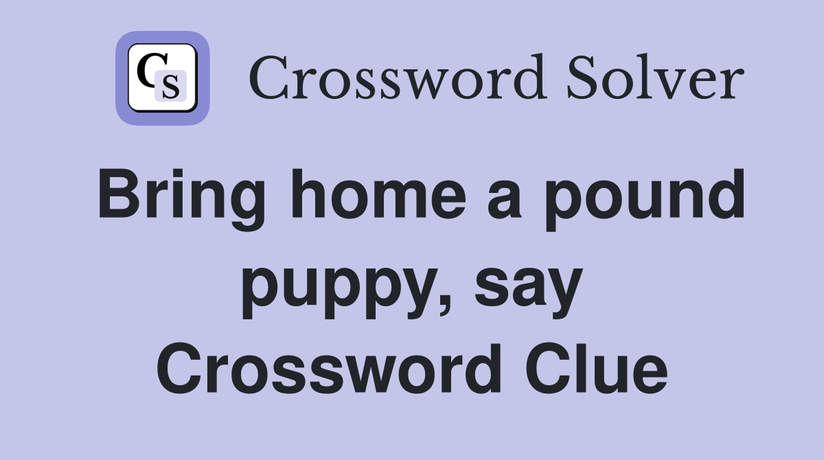 Bring home a pound puppy, say Crossword Clue