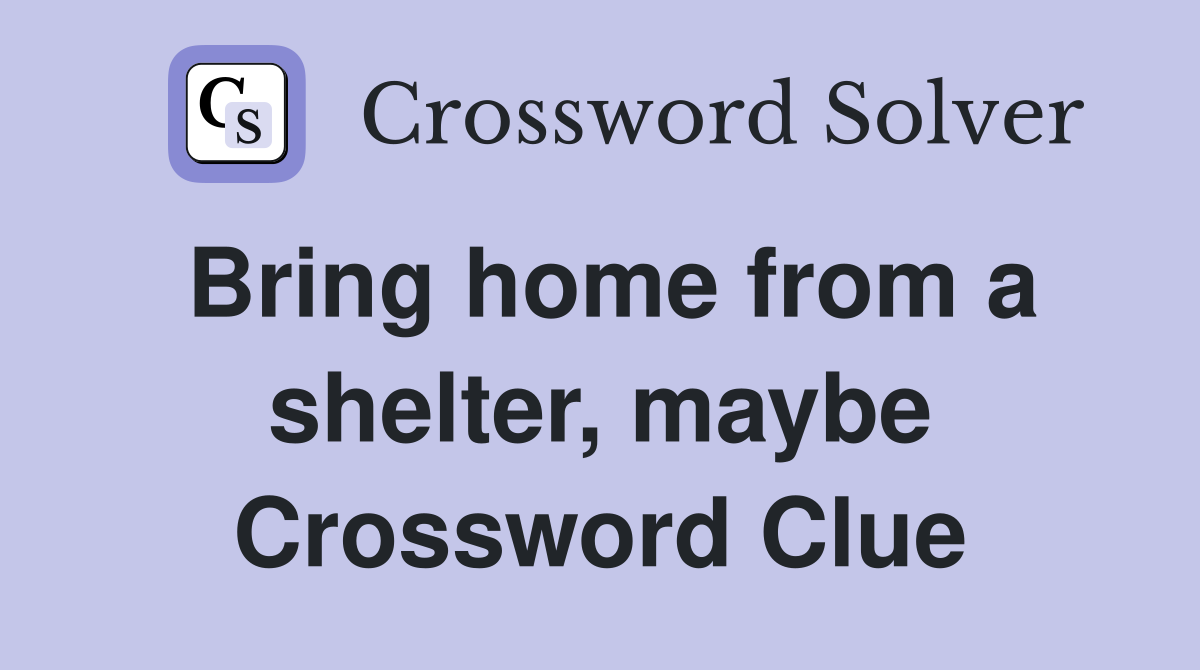 Bring home from a shelter, maybe Crossword Clue