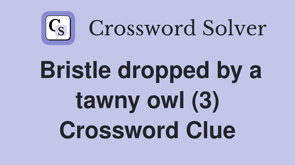 Bristle dropped by a tawny owl (3) Crossword Clue