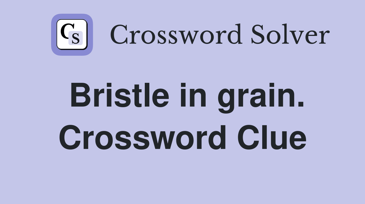 Bristle in grain. Crossword Clue
