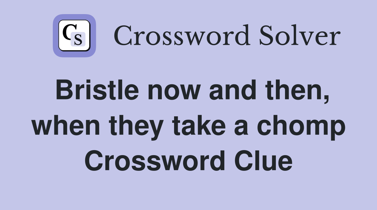 Bristle now and then, when they take a chomp Crossword Clue