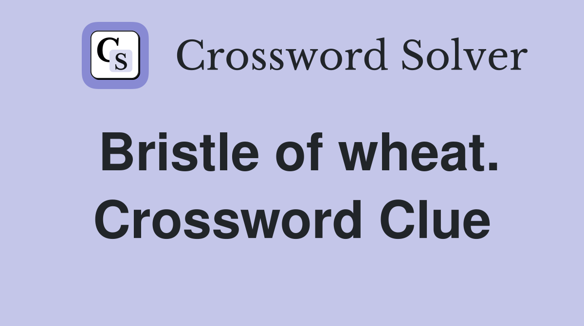 Bristle of wheat. Crossword Clue