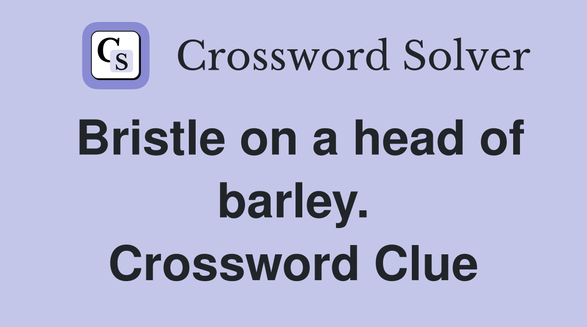 Bristle on a head of barley. Crossword Clue