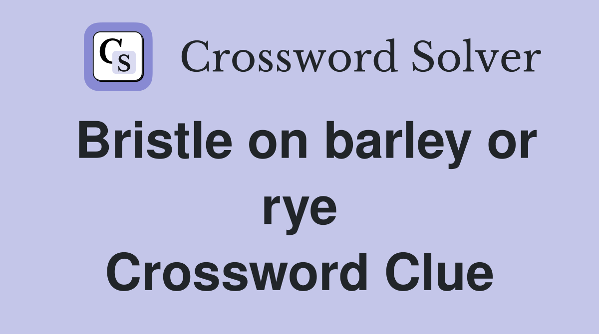 Bristle on barley or rye Crossword Clue