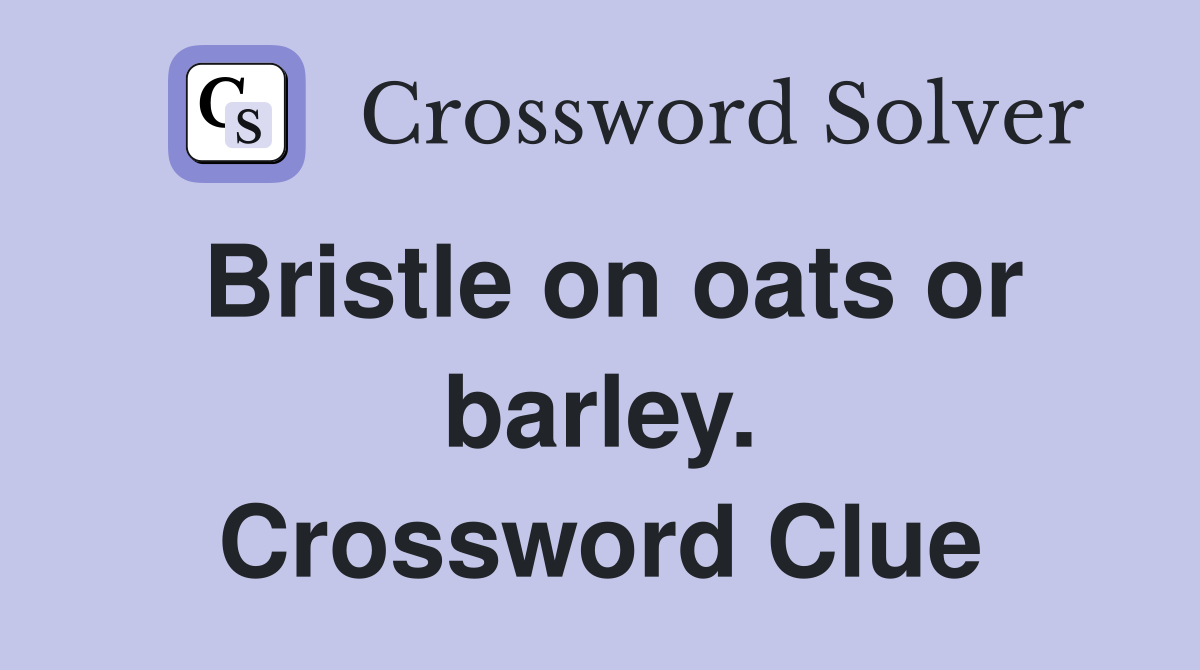 Bristle on oats or barley. Crossword Clue