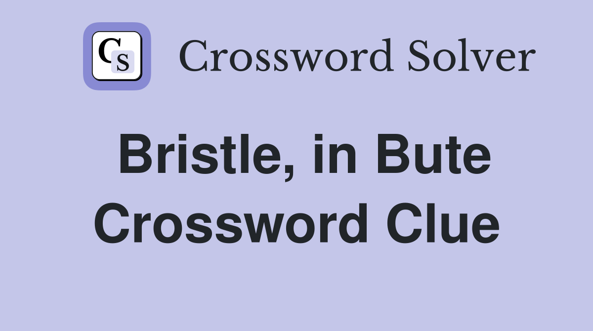 Bristle, in Bute Crossword Clue