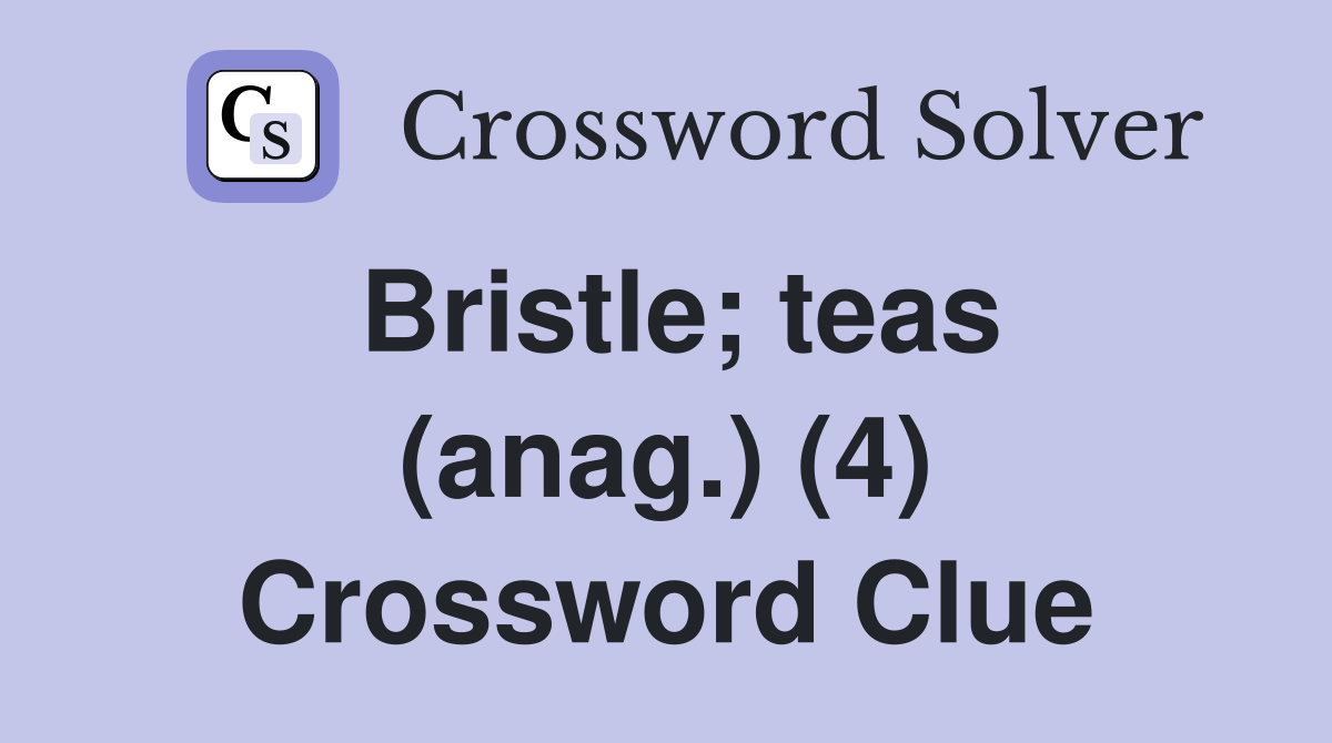 Bristle; teas (anag.) (4) Crossword Clue