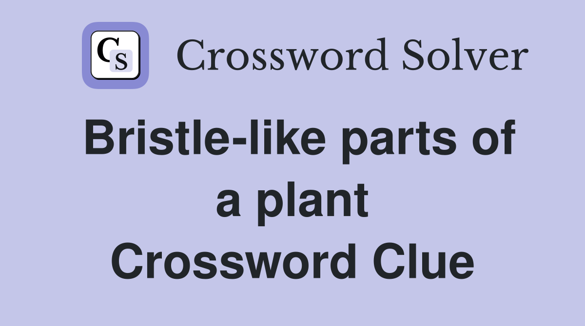 Bristle-like parts of a plant Crossword Clue