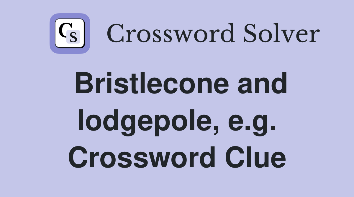 Bristlecone and lodgepole e g Crossword Clue Answers Crossword Solver