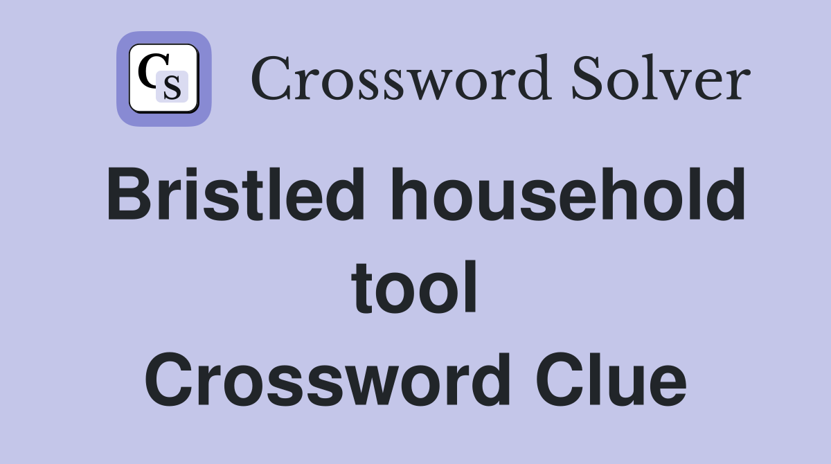 Bristled household tool Crossword Clue